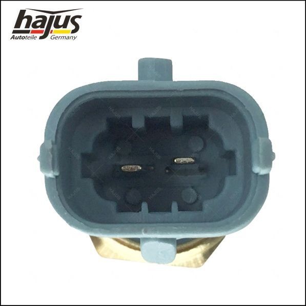 1211332 Cylinder head temperature sensor hajus Autoteile 1211332 review and test
