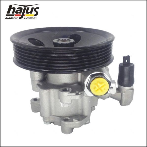 hajus Autoteile 4221033 EHPS Hydraulic, 128 bar, Belt Pulley Ø: 130 mm, Vane Pump, Clockwise rotation, without expansion tank