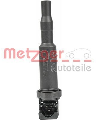 METZGER 0880250 Ignition coil 1213 0495 289