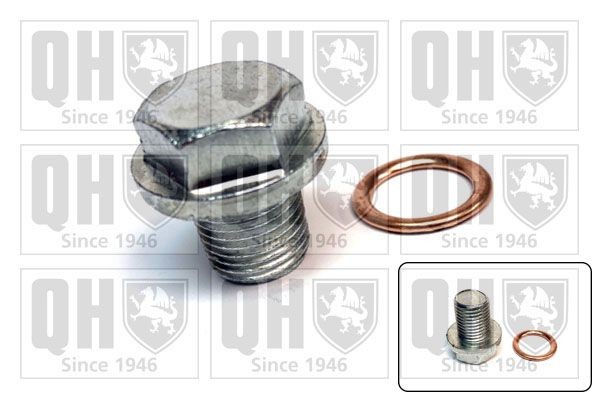 QUINTON HAZELL QOC1046 Seal, oil drain plug 21513 23001