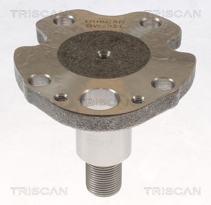 TRISCAN Wheel Hub 8535 29014