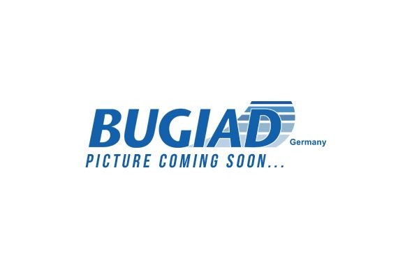BUGIAD BDL15719 Tailgate Lock Vehicle Tailgate