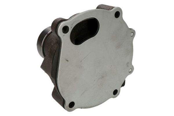 THERMOTEC Water pump for engine WP-FO103