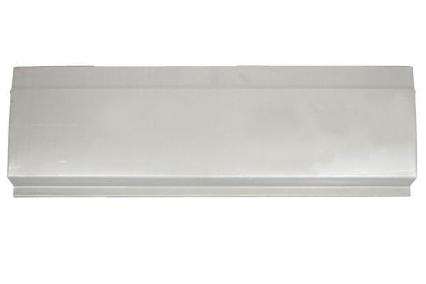 BLIC 6505-06-6089024P Side panel RENAULT ZOE 2012 price