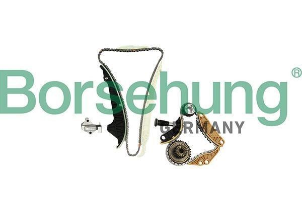 Volkswagen CALIFORNIA Timing chain kit Borsehung B10220 cheap