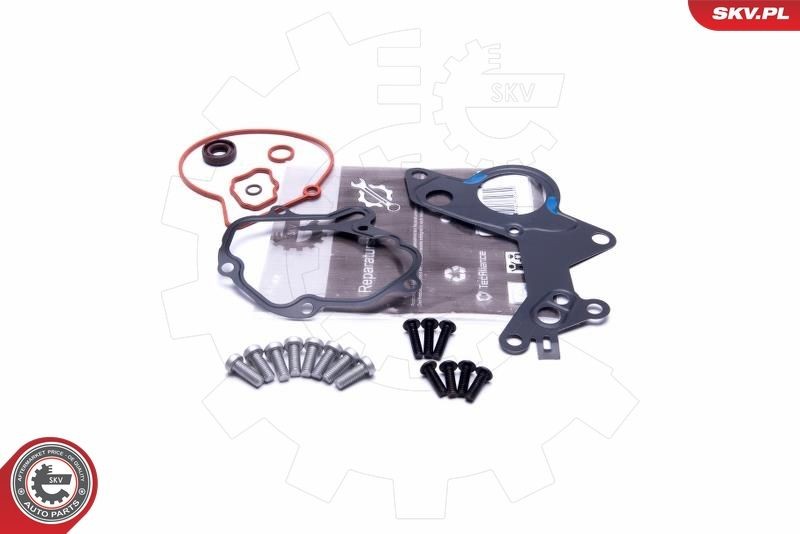 Great value for money - ESEN SKV Repair Kit, vacuum pump (brake system) 18SKV801