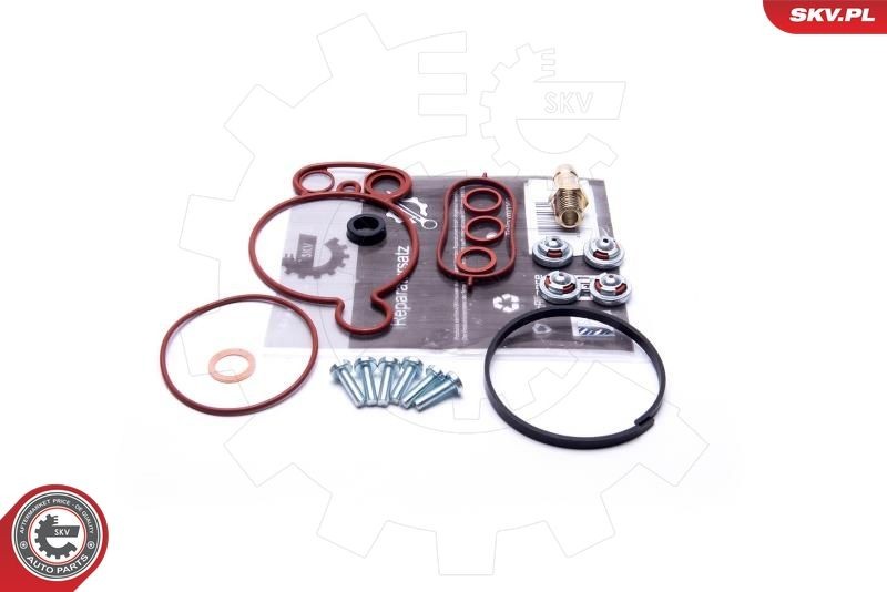 Great value for money - ESEN SKV Repair Kit, vacuum pump (brake system) 18SKV805