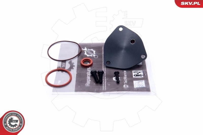 ESEN SKV Repair Kit, vacuum pump (brake system) 18SKV806 buy
