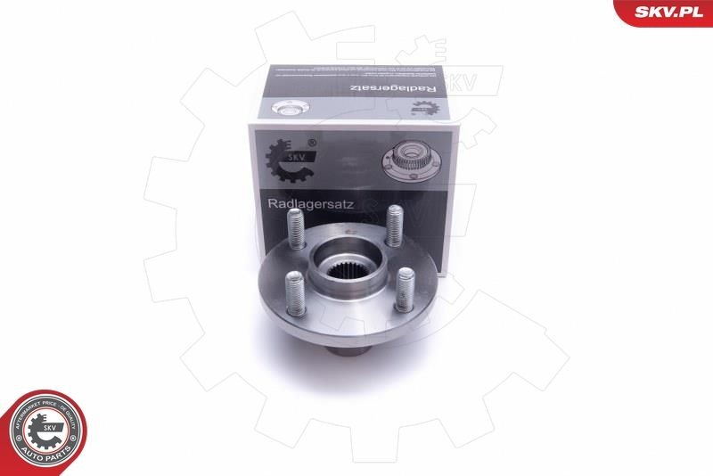 ESEN SKV Front Wheel hub bearing 29SKV531 buy