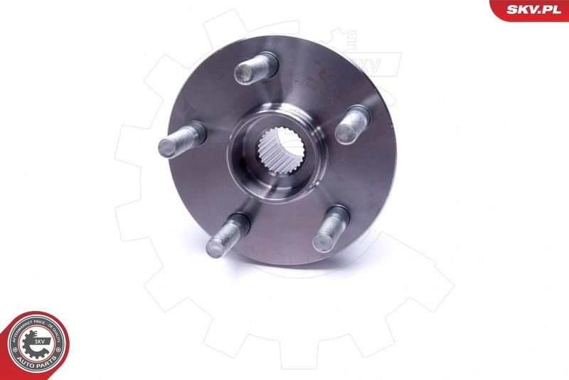 ESEN SKV 29SKV532 Wheel bearing & wheel bearing kit Rear