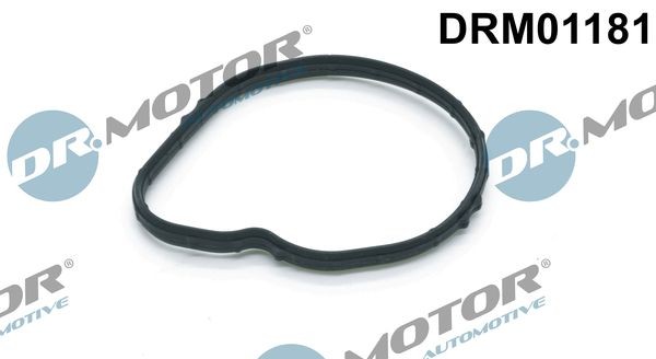 DR.MOTOR AUTOMOTIVE Gasket, thermostat DRM01181 Ford MONDEO 2005