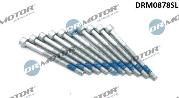 Jeep Screw, injection nozzle holder DR.MOTOR AUTOMOTIVE DRM0878SL at a good price
