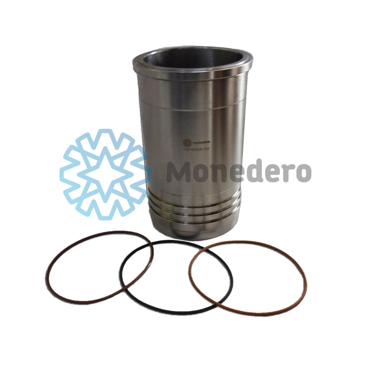 30011300001 MONEDERO Zylinderlaufbuchse für IVECO online bestellen