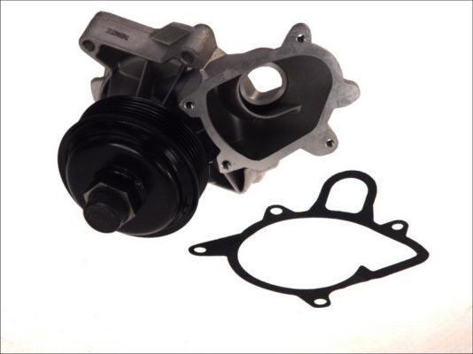THERMOTEC D1B030TT Water pump with seal, Mechanical