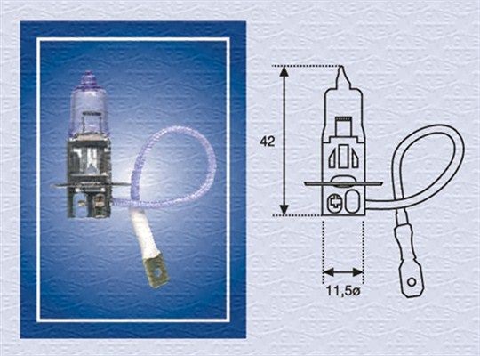 002554100000 MAGNETI MARELLI Glühlampe, Nebelscheinwerfer für VW online bestellen