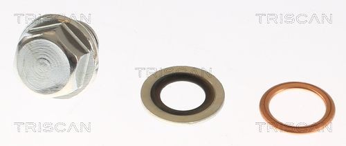 TRISCAN 95001001-20 Seal, oil drain plug MD 050 317
