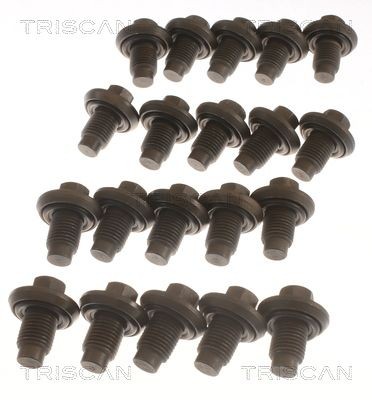 TRISCAN 95001009-20 Sealing Plug, oil sump 8694765