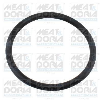 MEAT & DORIA Gasket, thermostat 01676 Volkswagen POLO 2008