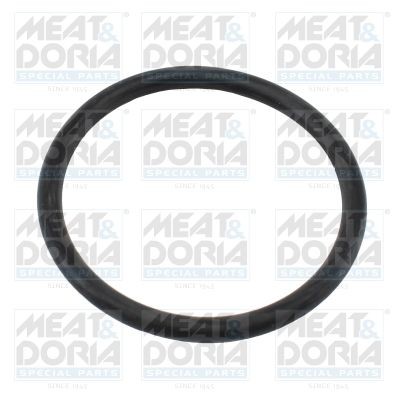 MEAT & DORIA Gasket, thermostat 01681 Volkswagen POLO 2016