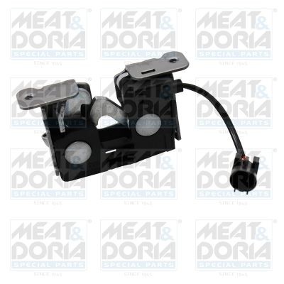 MEAT & DORIA 31850 Hood and parts BMW X6 2008 in original quality