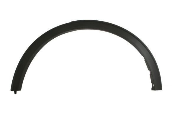 Ford Trim / Protective Strip, mudguard BLIC 5703-08-2596373P at a good price