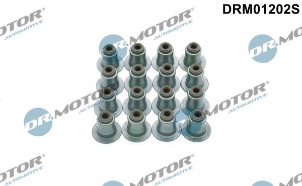 DR.MOTOR AUTOMOTIVE Seal Set, valve stem DRM01202S buy
