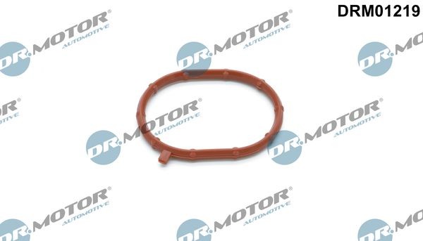 Great value for money - DR.MOTOR AUTOMOTIVE Seal, charger DRM01219