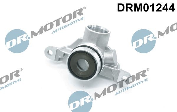 DR.MOTOR AUTOMOTIVE DRM01244 Ventil, Kurbelgehäuseentlüftung ▷ AUTODOC  Preis und Erfahrung