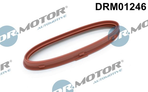 DR.MOTOR AUTOMOTIVE DRM01246 Seal, charger FORD USA experience and price