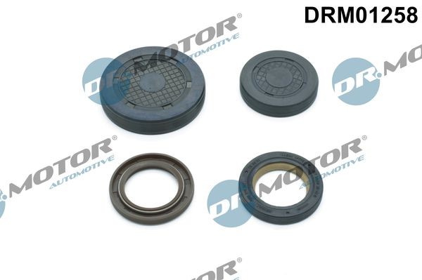 DR.MOTOR AUTOMOTIVE DRM01258 Timing belt kit 77 00 274 026