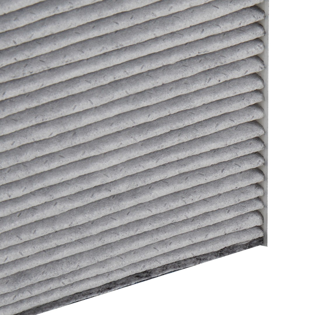 424I0628P Air con filter 424I0628P RIDEX PLUS Activated Carbon Filter with polyphenol, with antibacterial action, Particulate filter (PM 2.5), with fungicidal effect, Activated Carbon Filter, 211 mm x 205 mm x 30 mm