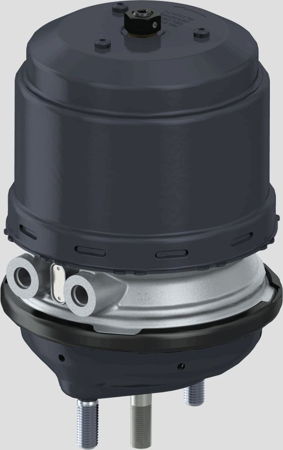 WABCO 9254920020 Kombibremszylinder für VOLVO FH 12 LKW in Original Qualität