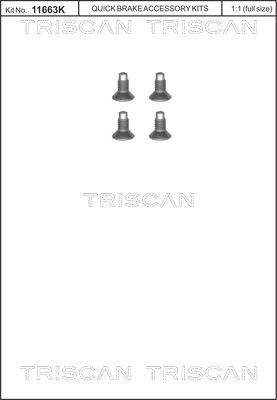 TRISCAN 8105 116004 RENAULT Bolt, brake disc in original quality
