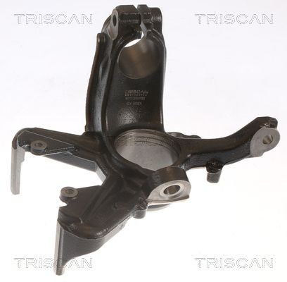 8500 29702 TRISCAN Stub axle buy cheap