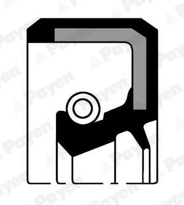 PAYEN NJ118 Shaft Seal, manual transmission TOYOTA experience and price