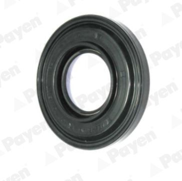 PAYEN Rear Axle Shaft Seal, wheel hub NK038 buy