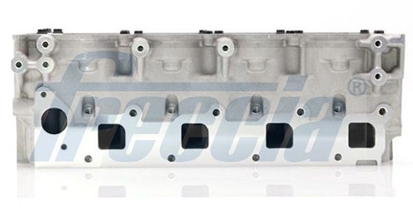 FRECCIA without camshaft(s), without valves, without valve springs Cylinder Head CH17-1007 buy
