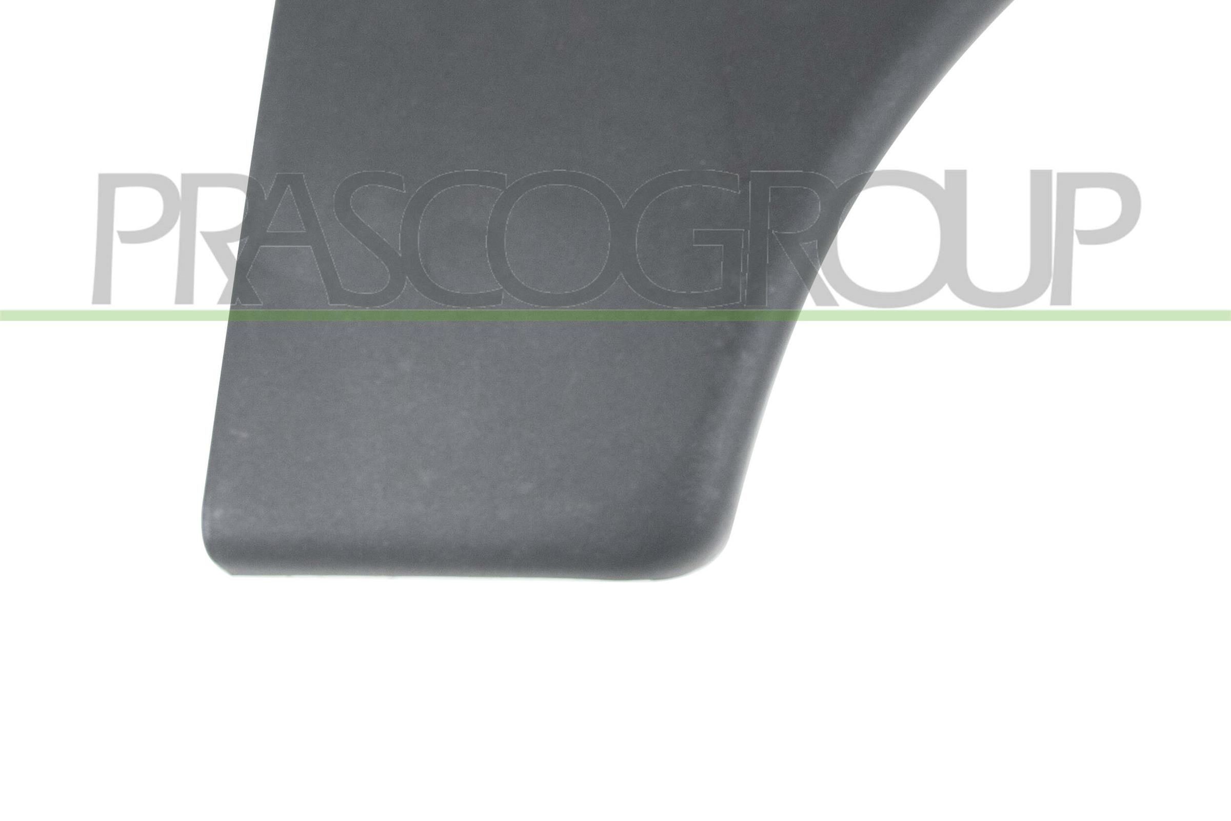 PRASCO Right Front, with staples Trim / Protective Strip, mudguard CI9151401 buy