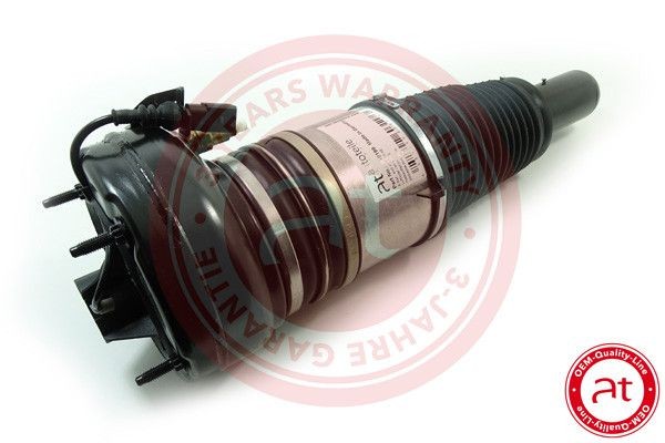 Great value for money - at autoteile germany Air suspension strut at10199
