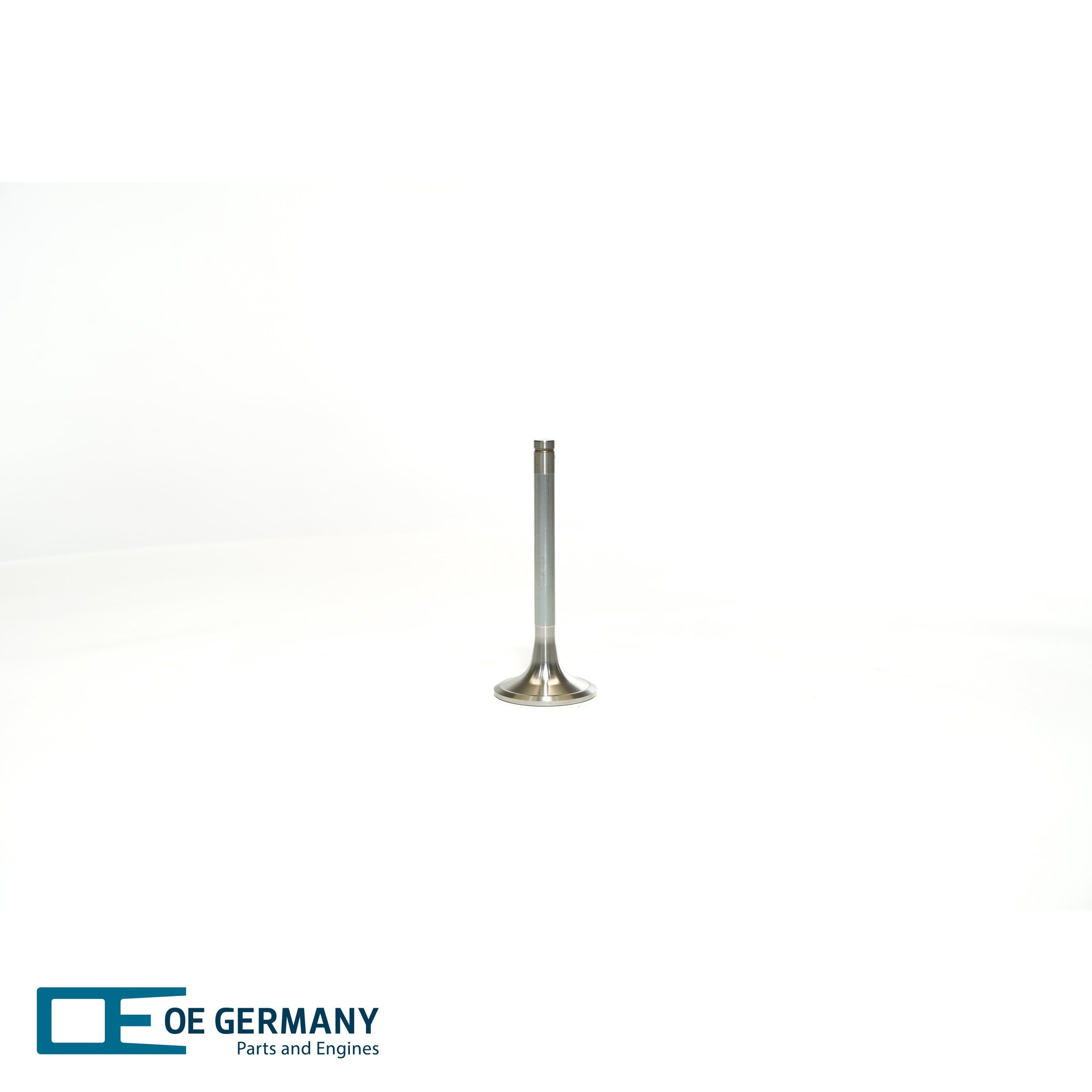 OE Germany Intake valves 02 0520 280000