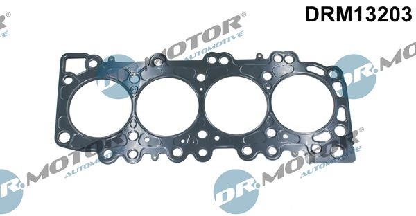 DR.MOTOR AUTOMOTIVE 0,95 mm, Ø: 89 mm, Notches/Holes Number: 2 Head Gasket DRM13203 buy