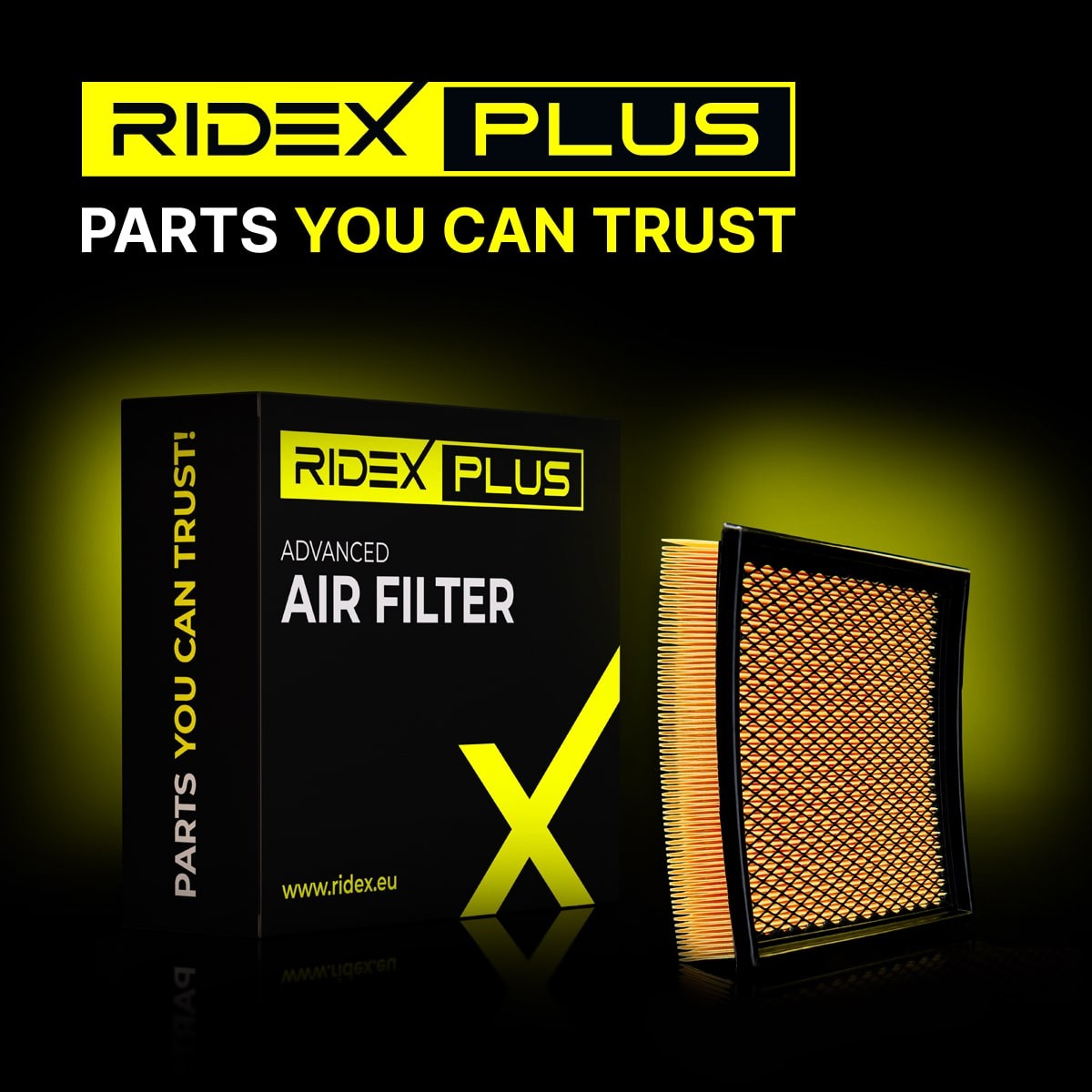 RIDEX PLUS Engine filter 8A0172P buy online