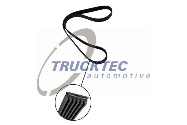 TRUCKTEC AUTOMOTIVE 1157mm, 6, for vehicles with mild hybrid Number of ribs: 6, Length: 1157mm Alternator belt 08.19.294 buy