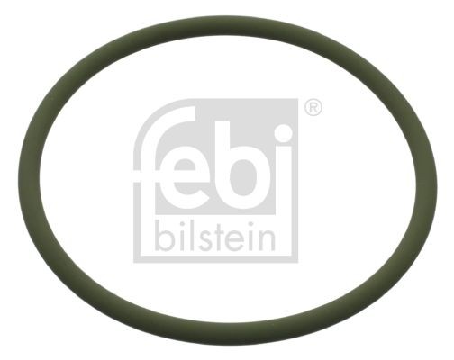 FEBI BILSTEIN 100 x 6 mm, FPM (Fluor-Kautschuk) Dichtring 17128 kaufen