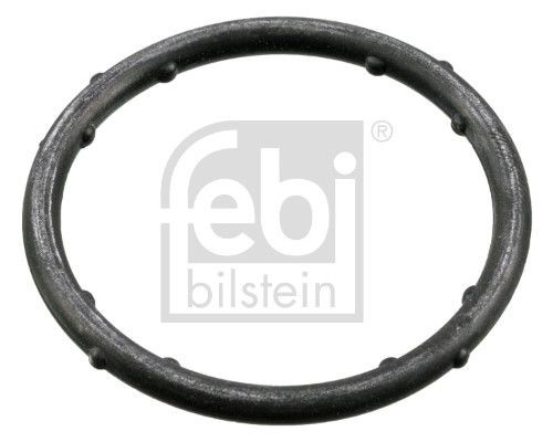 A4 B6 Pipes and hoses parts - Gasket, coolant flange FEBI BILSTEIN 18766