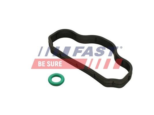 Original FT48302 FAST Rocker cover gasket experience and price