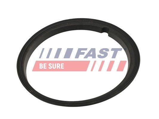 Peugeot Seal, fuel sender unit FAST FT48502 at a good price
