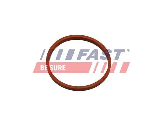 Buy Seal, turbo air hose FAST FT48932 - Pipes and hoses parts NISSAN JUKE online