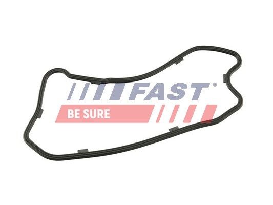 Original FT49208 FAST Sump gasket experience and price