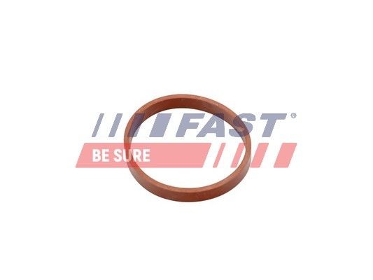 FAST FT49418 Intake manifold gasket TOYOTA PROACE 2015 in original quality
